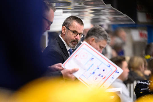 HV71s tränare Tommy Samuelsson