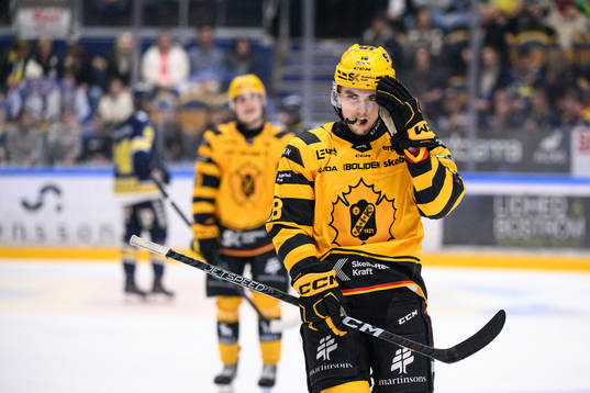 Skellefteås Elias Stenman deppar