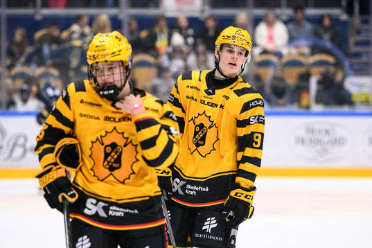 Skellefteås Theo Keilin deppar