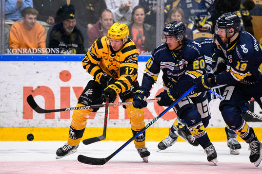 Skellefteås Pär Lindholm och HV71s André Petersson