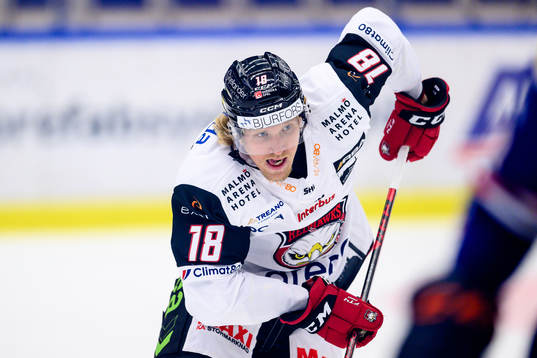 Malmö Redhawks Marcus Sylvegård