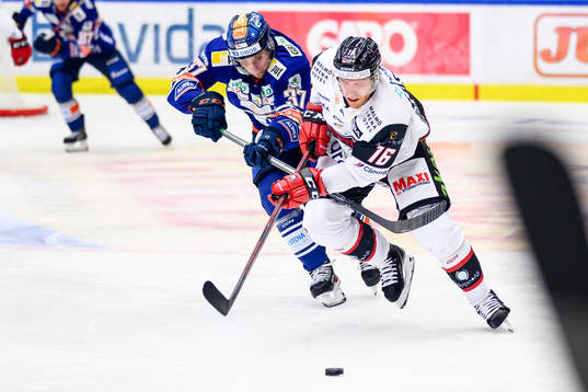 Växjös Glenn Gustafsson och Malmö Redhawks Matias Lassen