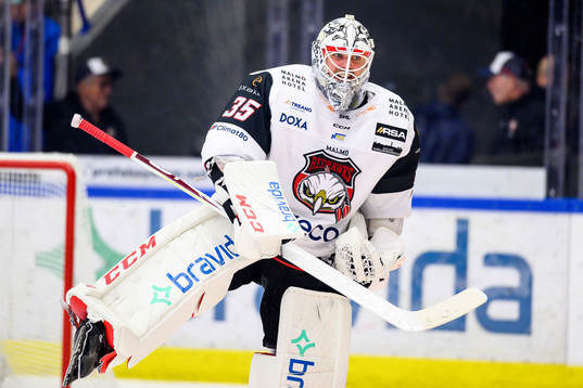 Malmö Redhawks målvakt Adam Werner jublar