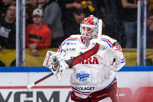 Timrås målvakt David Rautio jublar