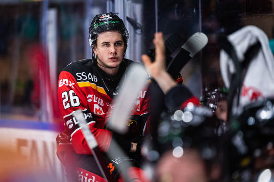 Luleås Radek Muzik