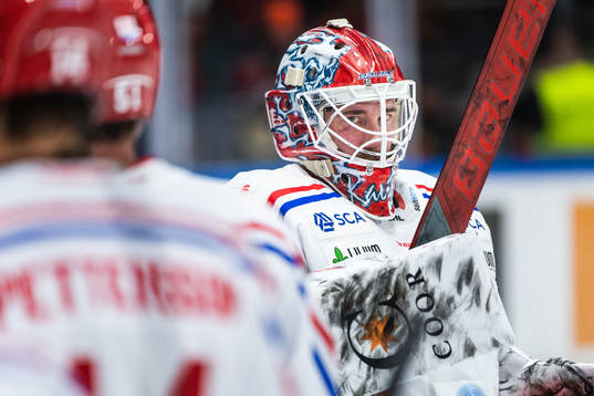 Timrås målvakt David Rautio