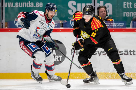Linköpings Christoffer Ehn och Brynäs David Sklenicka
