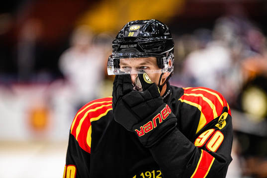 Brynäs David Sklenicka