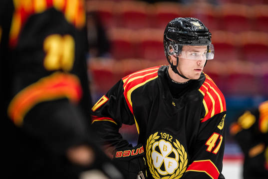 Brynäs Arvid Sundin