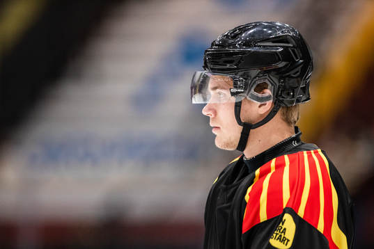 Brynäs Arvid Sundin