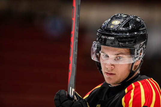 Brynäs Arvid Sundin