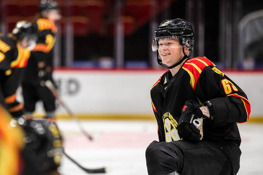 Brynäs Julius Bergman