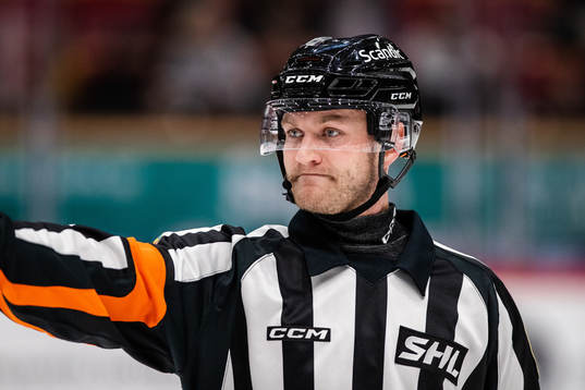Domare Daniel Eriksson