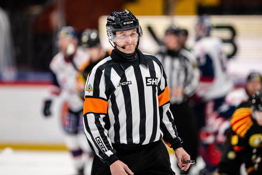 Domare Daniel Eriksson