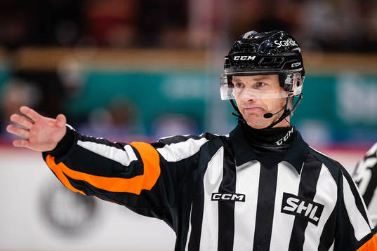 Domare Mikael Andersson