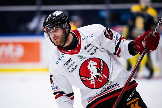 Vita Hästens Hampus Falk