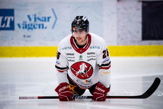 Vita Hästens Alex Brännstam