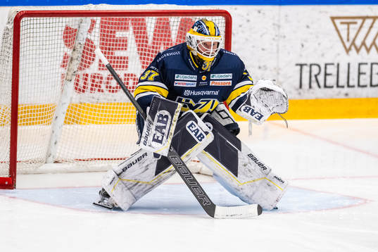 HV71s målvakt Jonas Gunnarsson