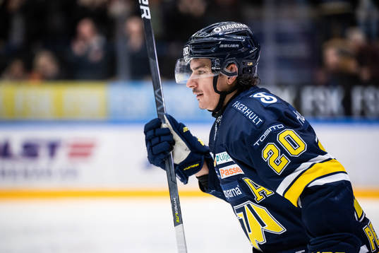 HV71s André Petersson jublar