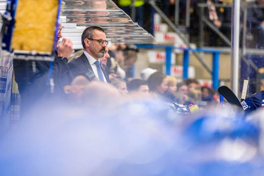 tränare Tommy Samuelsson