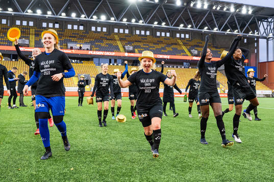 Växjös spelare jublar