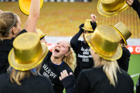 Växjös spelare jublar