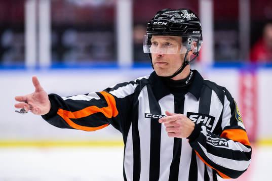 Domare Tobias Björk