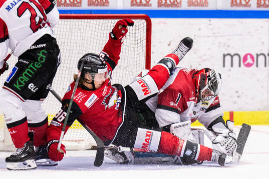Malmö Redhawks Lukas Wernblom och Örebros målvakt Jhonas