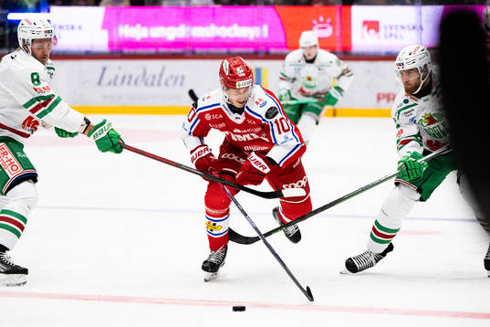 Timrås Robin Alvarez