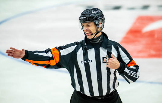 Domare Mikael Andersson