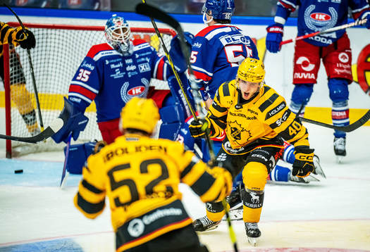 Skellefteås Andreas Wingerli jublar
