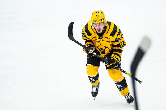 Skellefteås Jonathan Pudas jublar