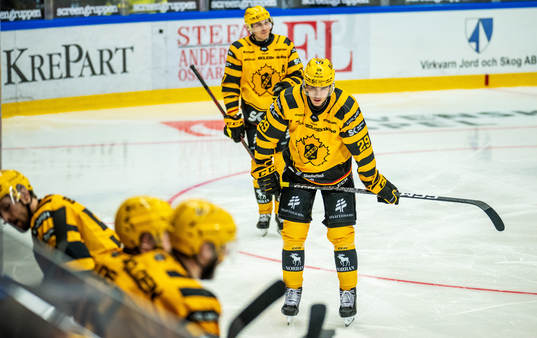 Skellefteås Albin Sundsvik deppar