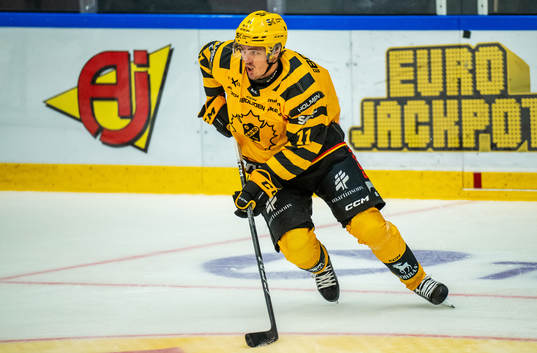 Skellefteås Max Lindholm