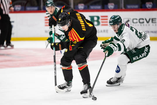Brynäs William Strömgren och Färjestads Lucas Forsell