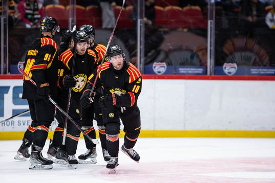 Brynäs Johan Larsson jublar