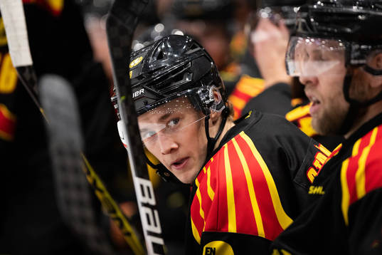 Brynäs William Strömgren