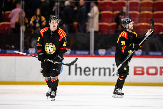 Brynäs Dmytro Timashov deppar