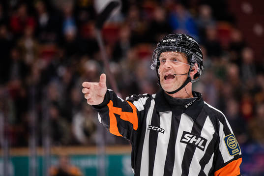 Domare Mikael Nord