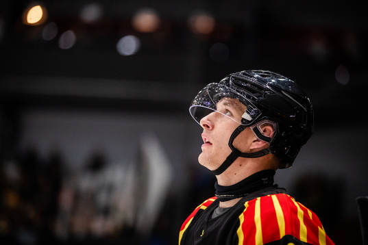 Brynäs David Sklenicka