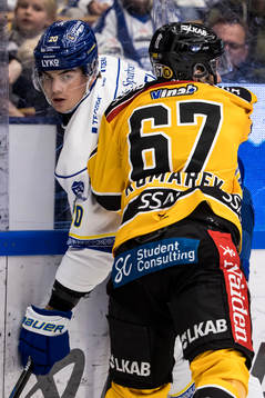 Leksands Lian Bichsel