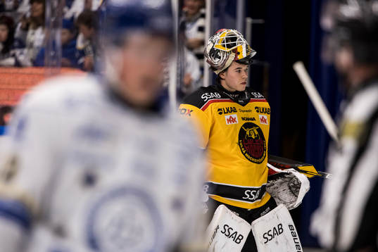Luleås målvakt Matteus Ward deppar