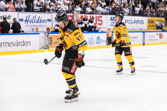 Luleås Leo Komarov och Jesper Sellgren deppar