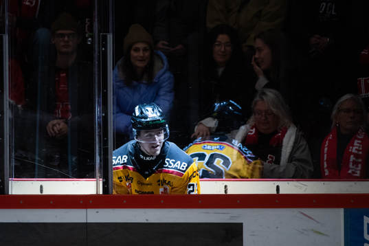 Luleås Jesper Sellgren utvisas