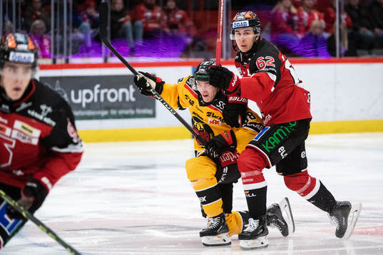 Luleås Joonas Rask och Örebros Robert Leino