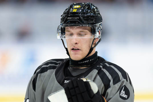 Brynäs David Sklenicka