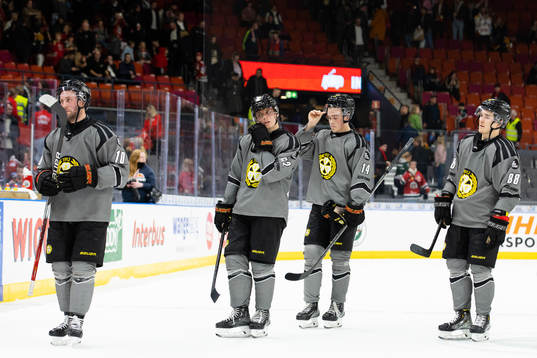 Brynäs spelare deppar