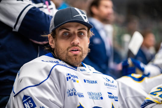 Leksands målvakt Mantas Armalis