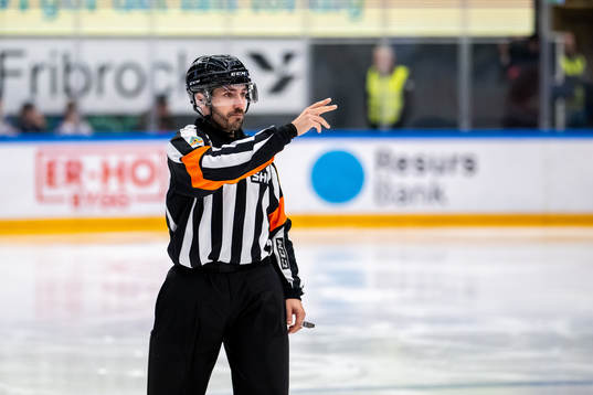 Domare Mattias Enroth