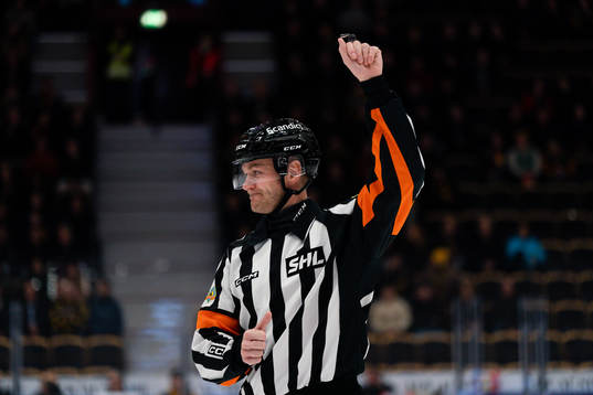 Domare Daniel Eriksson